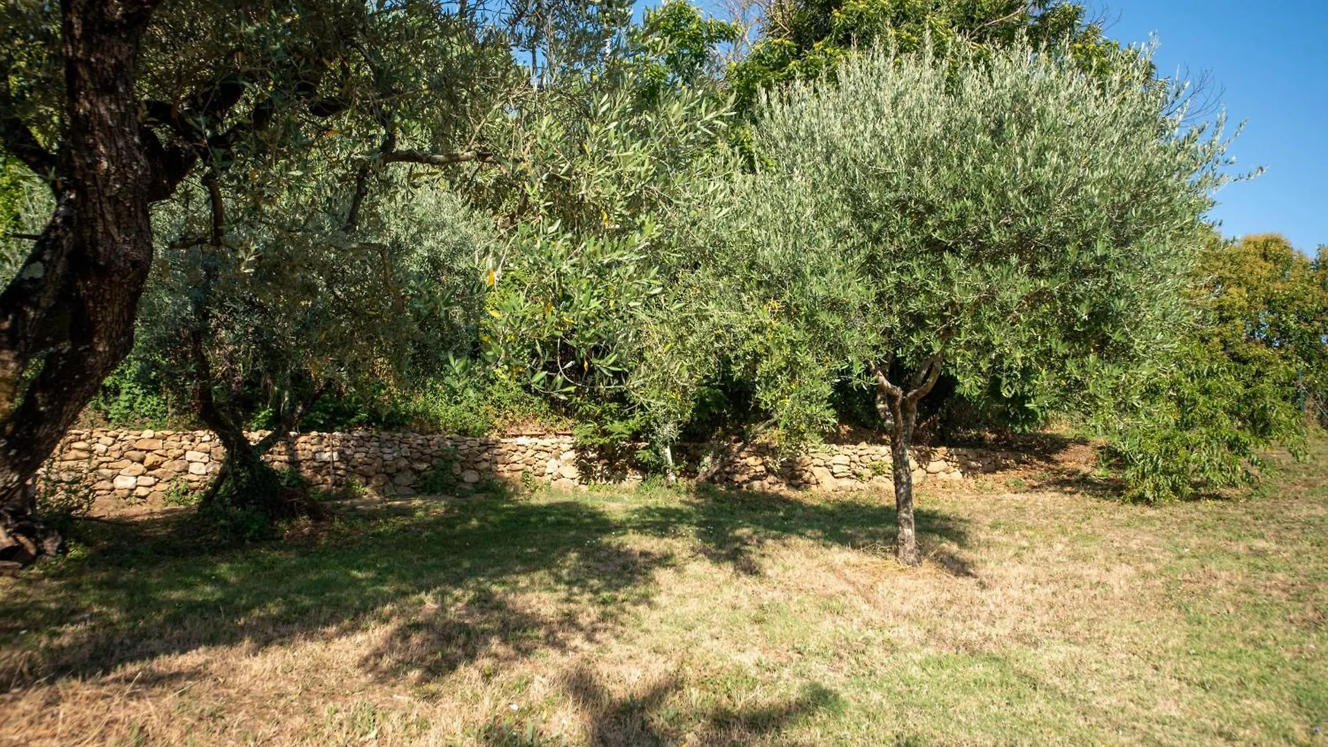 Villa Thesan Volterra